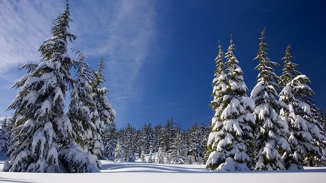 Aus Lager 2020 wird Winterlager 2021
