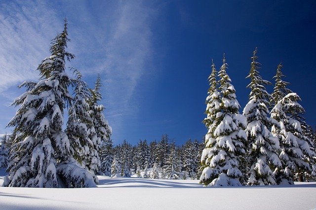 Aus Lager 2020 wird Winterlager 2021