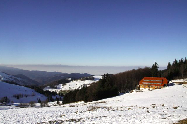 Winter-Edition findet nicht statt